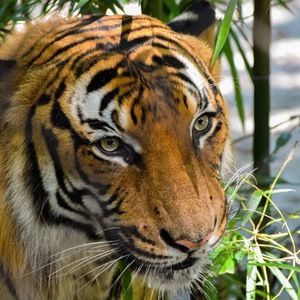 Meet your Posher, Vita